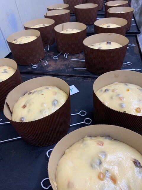 Panettone